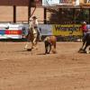  Dylan Segrest and Cody Conroy
Wrangler National Finals.
